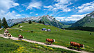 La route des fromages de Savoie