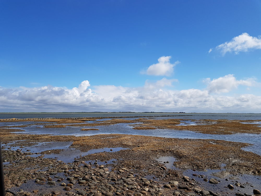 Lumière magique sur la mer des wadden