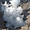 Cratère du Bromo