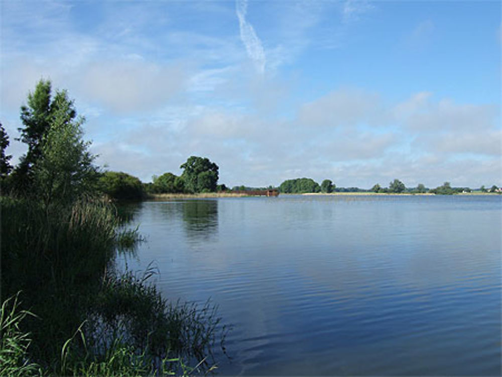 Etang des roseaux au Louroux