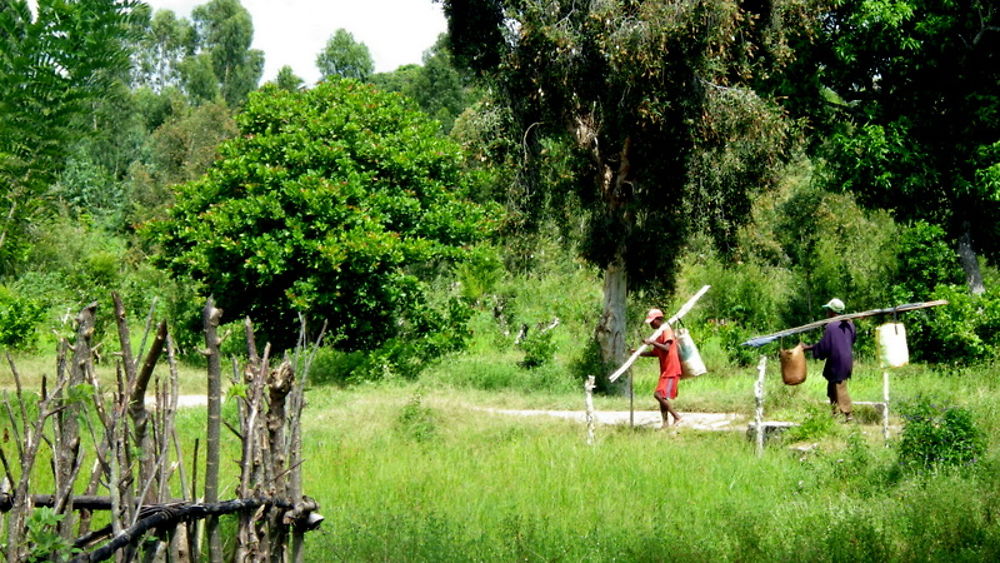 Pêcheurs à Mahambo