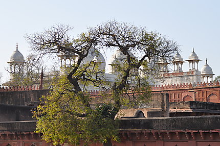 Moti Masjid