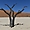Triptyque du Namib
