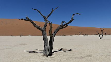 Triptyque du Namib