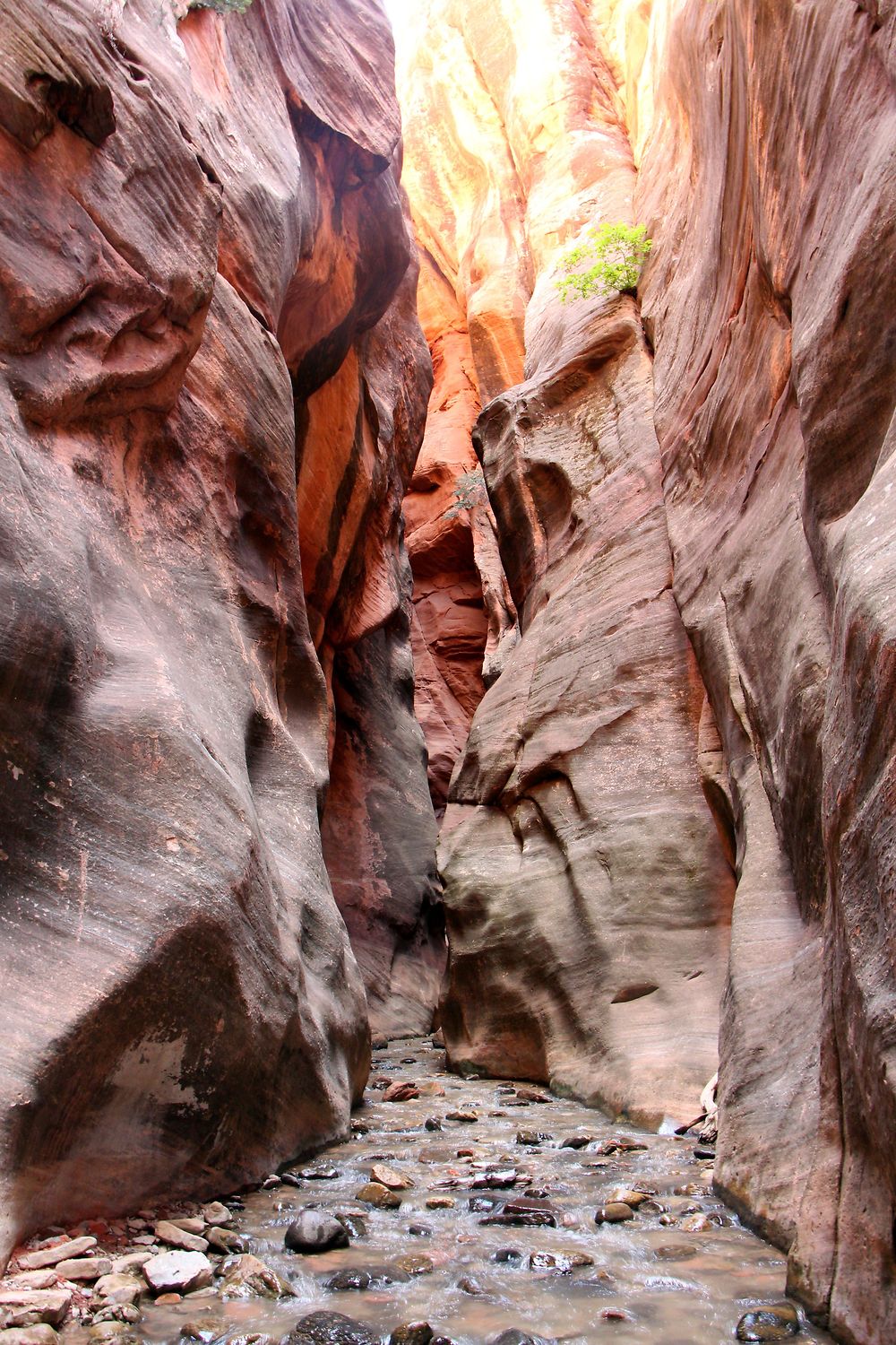 Kanarra Creek