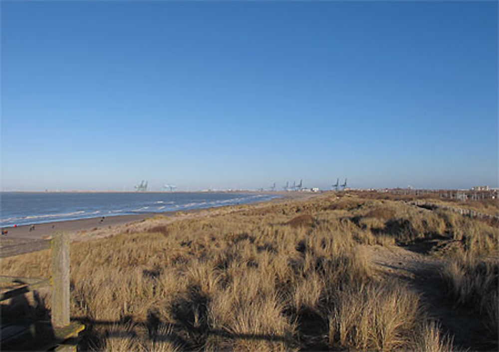 Blankenberge, vue sur Zeebruges