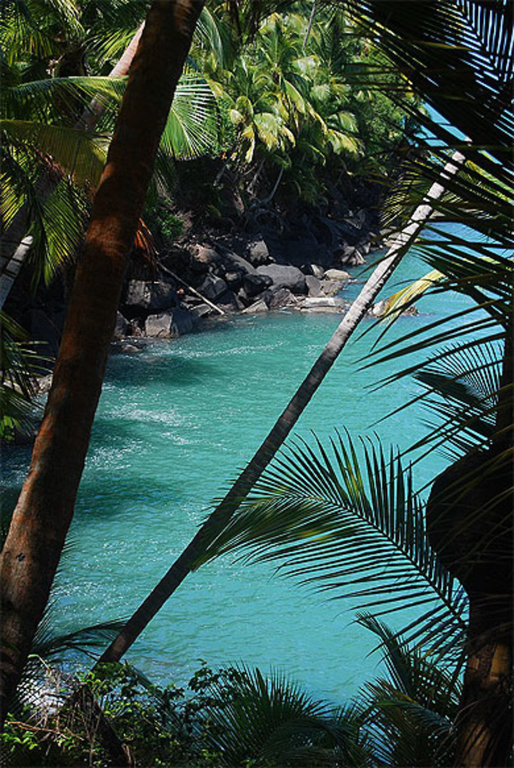 Rares eaux bleues en Guyane