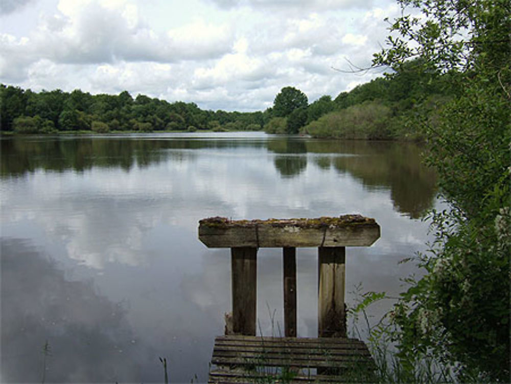 Etang au nord est du Louroux