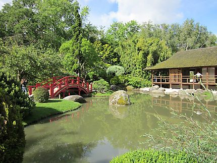 Jardin japonais