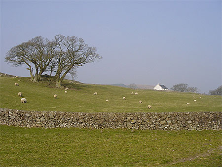 Paysage de Dumfries Paysage de Dumfries