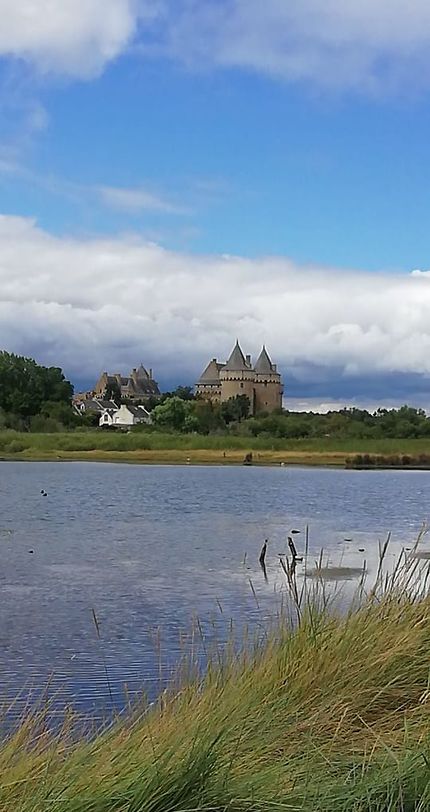 Château de Suscinio