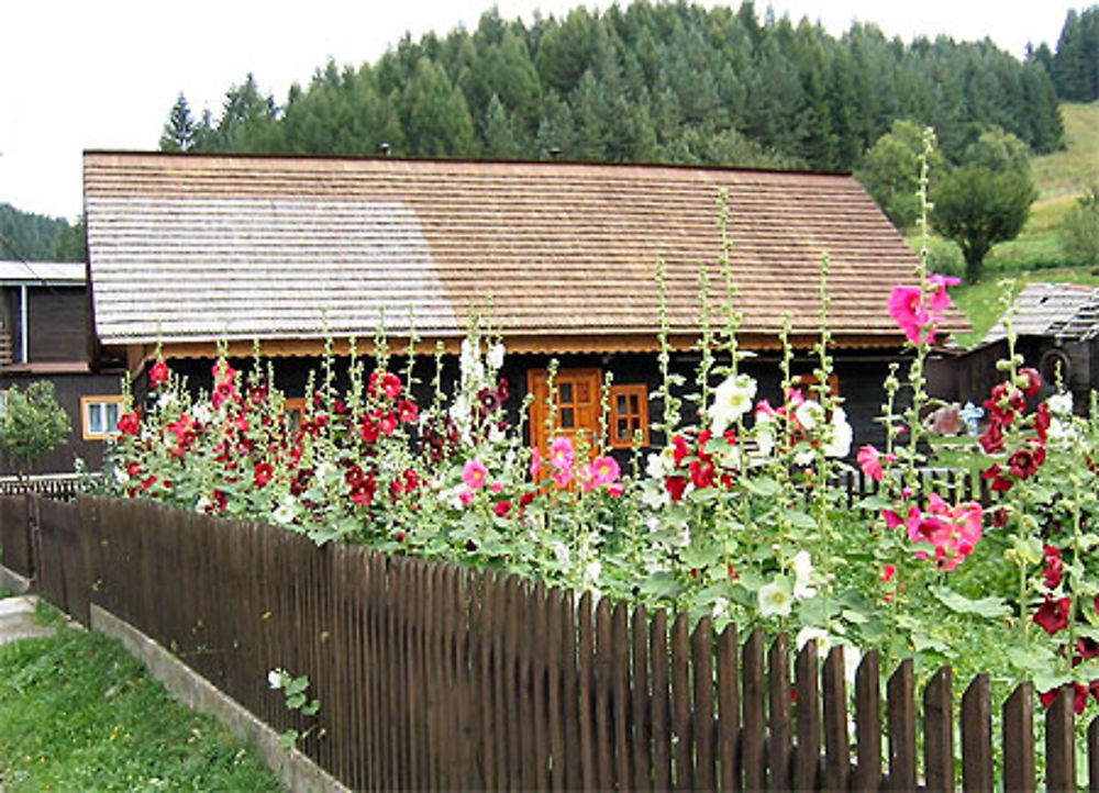 Musée en plein air &quot;Cicmany&quot; - réserve d'architecture populaire