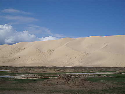Aux pieds des dunes