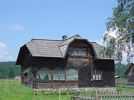 Bucovine : Vatra Dornei