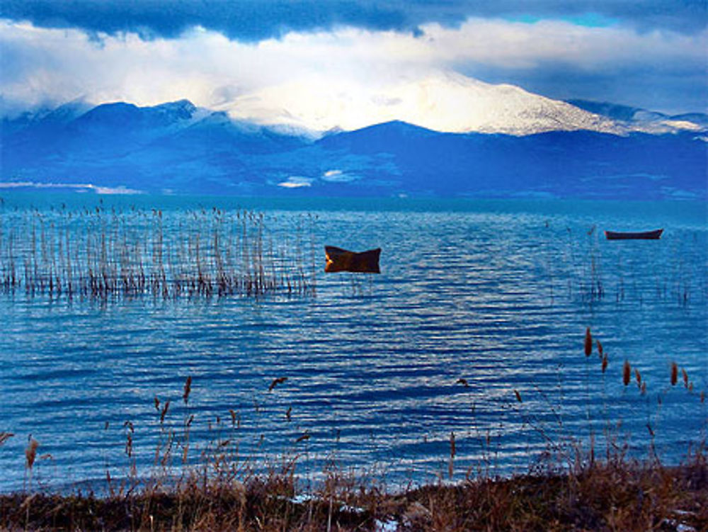 Lac de Beysehir paradis des oiseaux