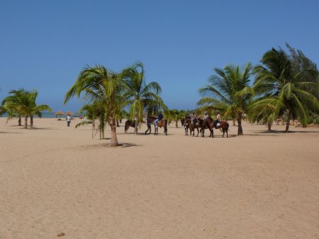 Lamantin Beach Hotel Spa