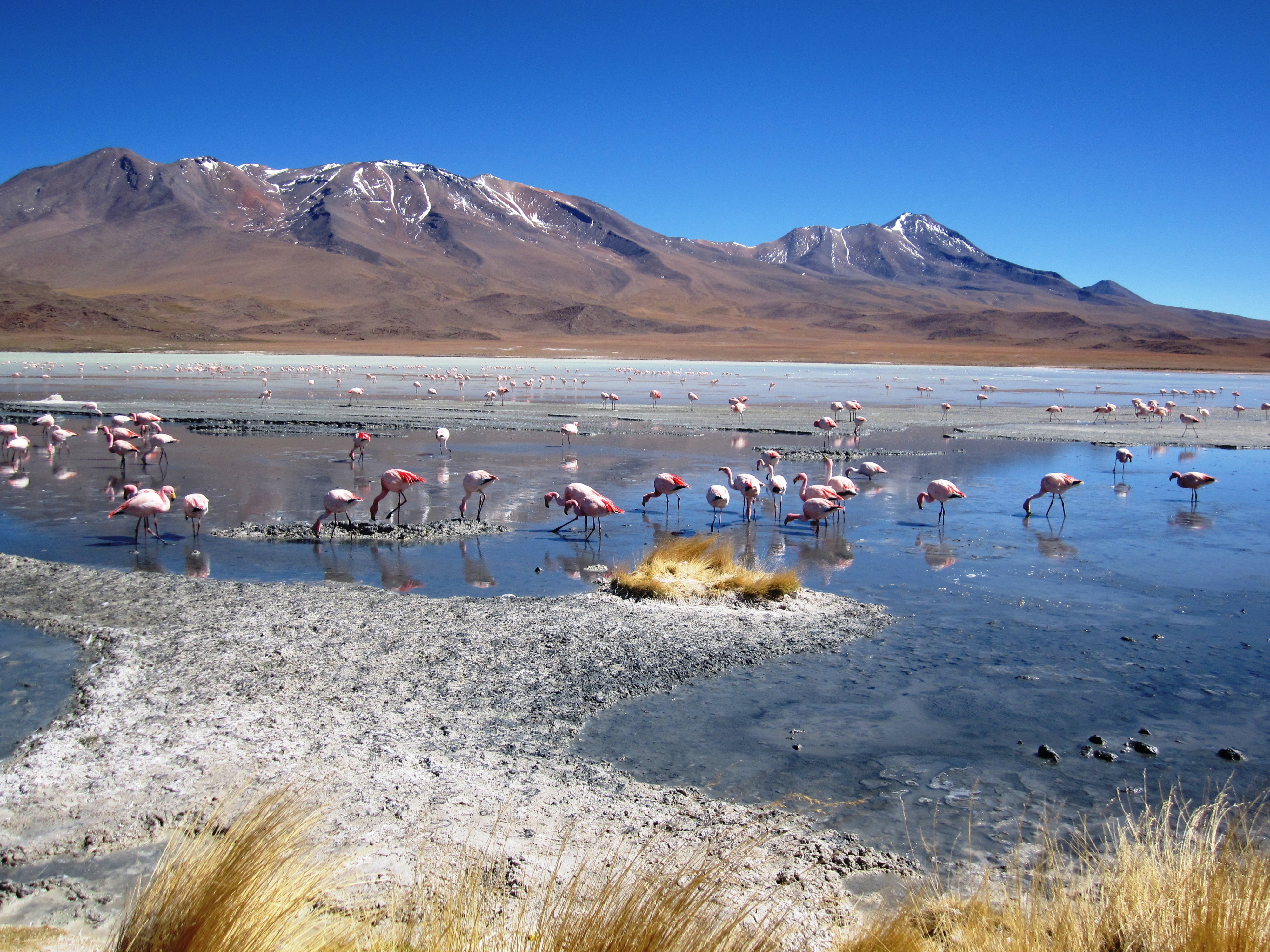 Laguna Hedionda Laguna Hedionda