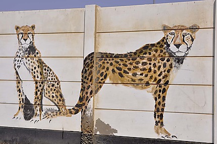 Peinture murale à Swakopmund