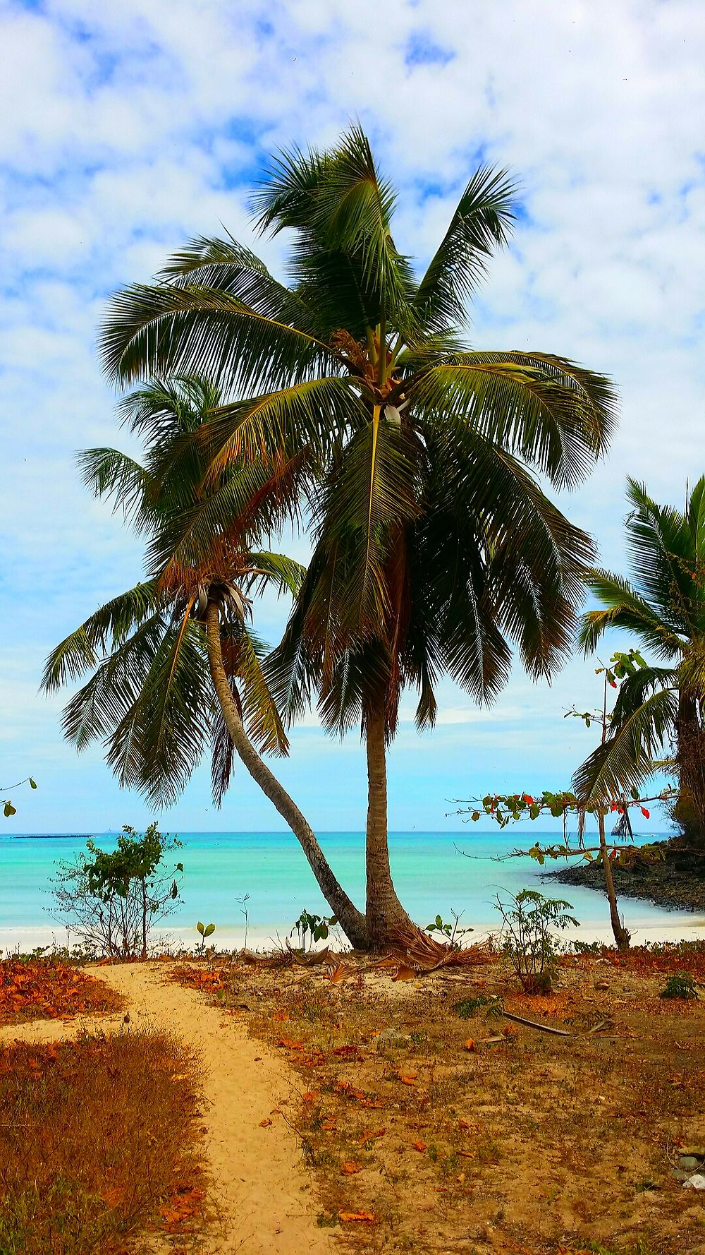 Plage sur la Baie des Dunes