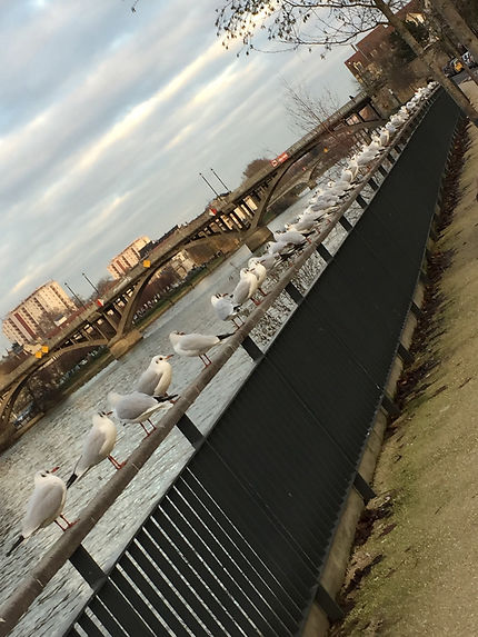 Le Quai de Lagny-sur-Marne