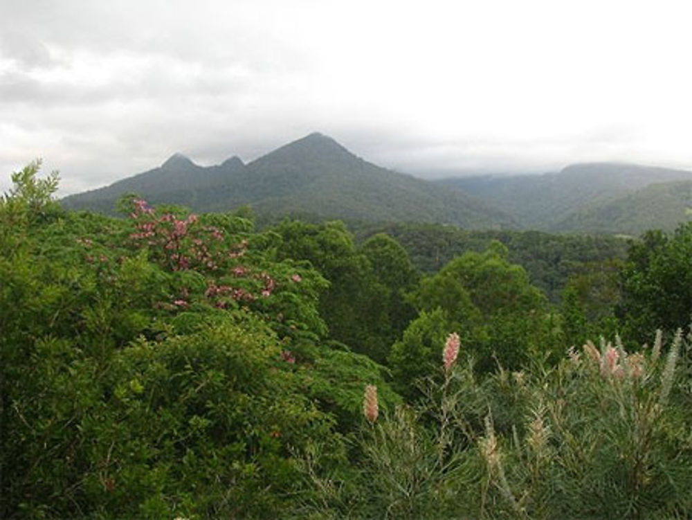 Mount Warning