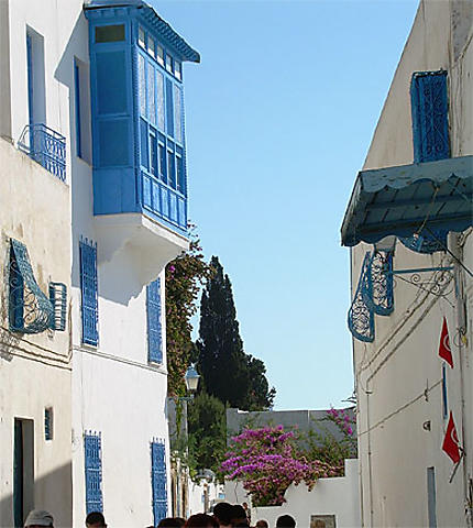 Du bleu et du blanc à Sidi Bou Saïd