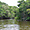 La mangrove dans le parc des Everglades