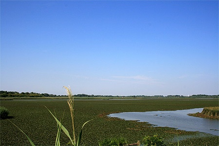 Les étangs de retenue de la rivière Tisza Les étangs de retenue de la rivière Tisza