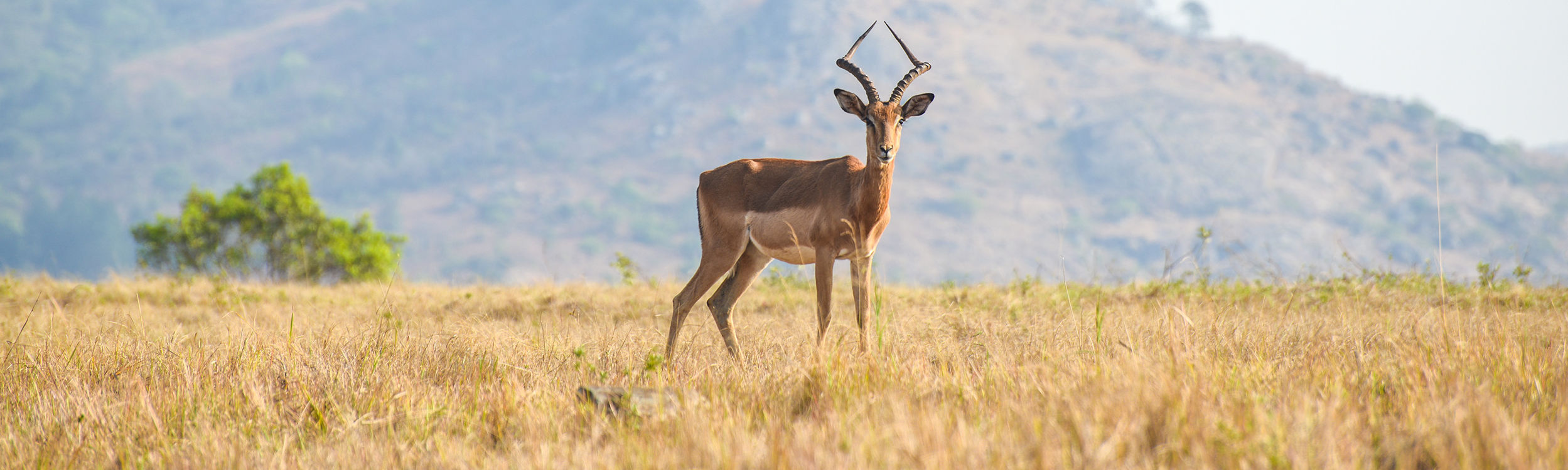 Swaziland (Eswatini)