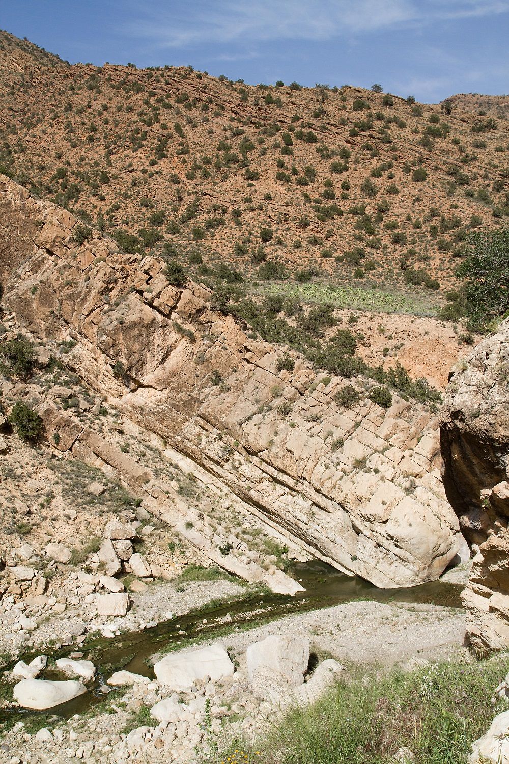 Aurès - Gorges de Tighanimine