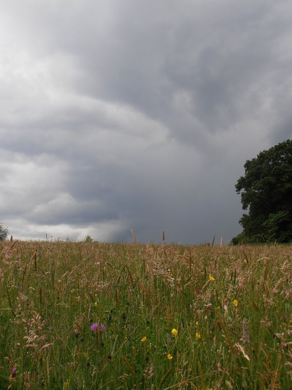 Ciel d'orage