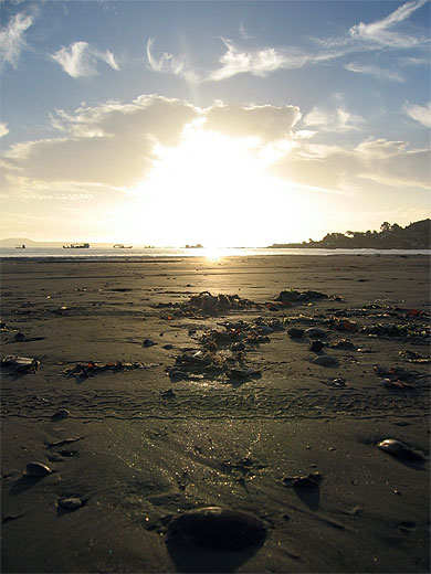 Plage de Tongoy Plage de Tongoy