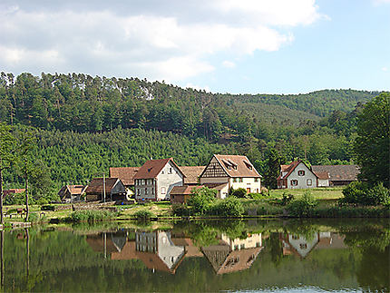 L'étang de Baerenthal