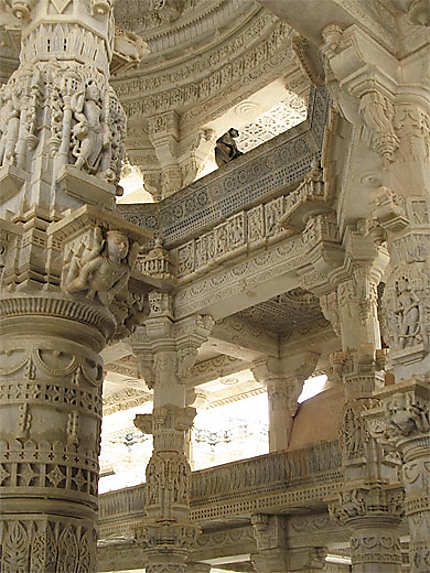 Singe dans le temple d'Adinath
