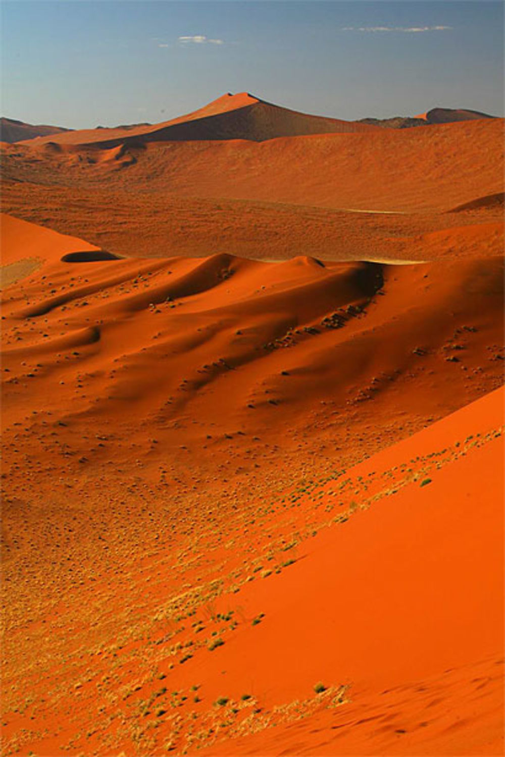 Dunes du Namib