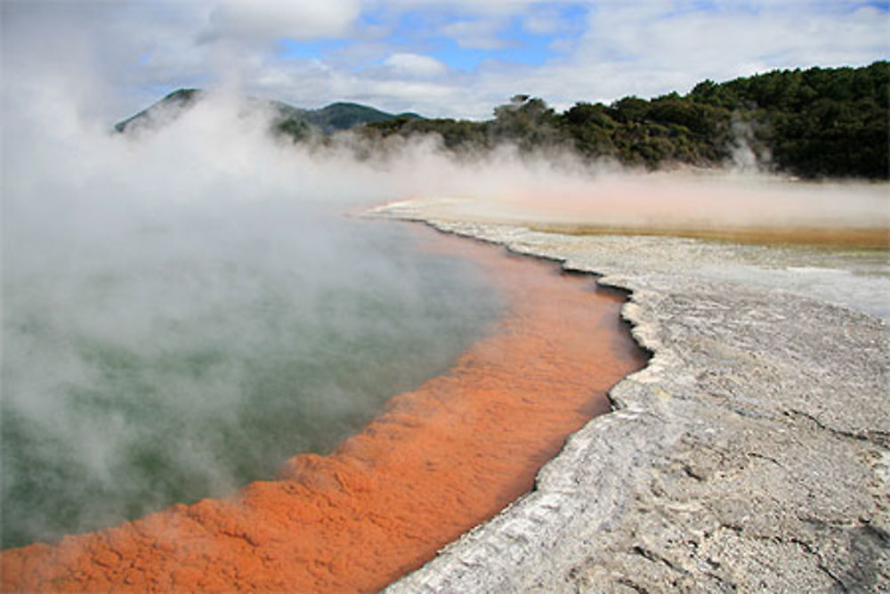 Rotorua