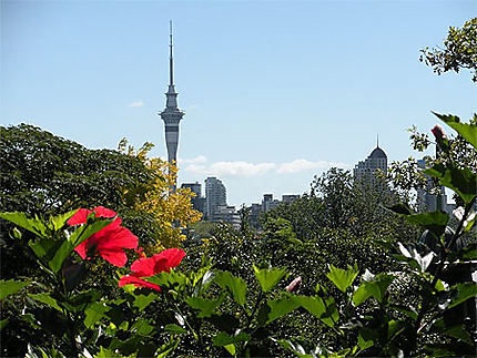 Vue d'Auckland