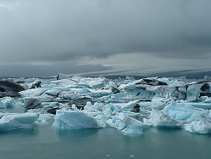 Iceberg Jökulsarlón
