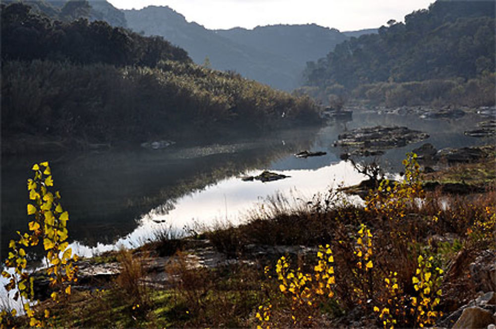 Les berges du Gardon