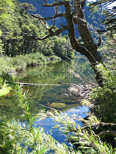 Un des lacs du PN de Huerquehue Un des lacs du PN de Huerquehue