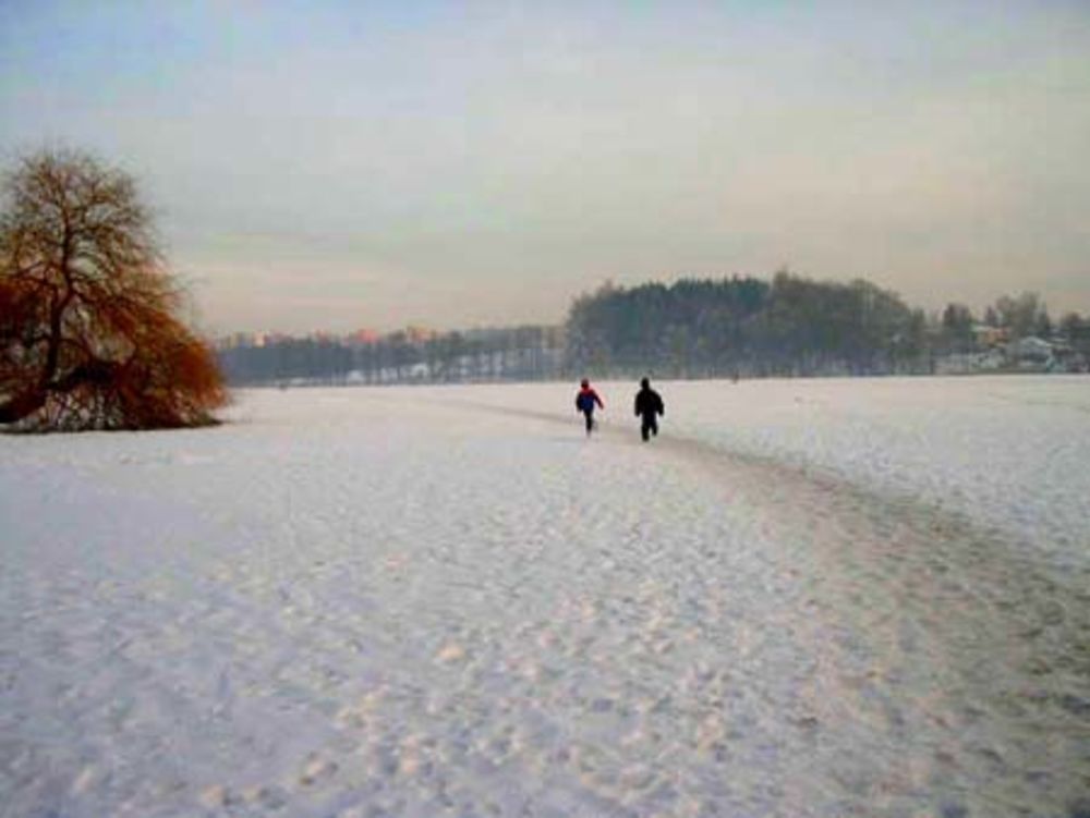 Lac gelé de Jindrichuv Hradec