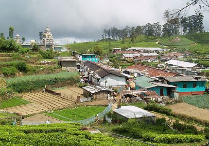Village dans les plantations de thé