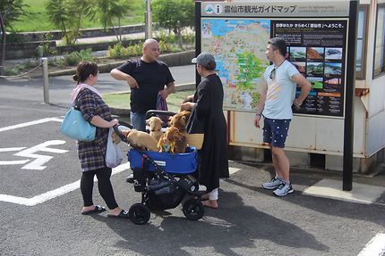 Unzen, les toutous en promenade, au Japon