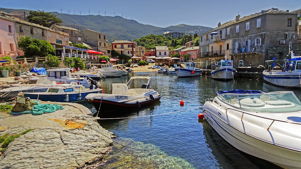 Le port de Centuri en Corse