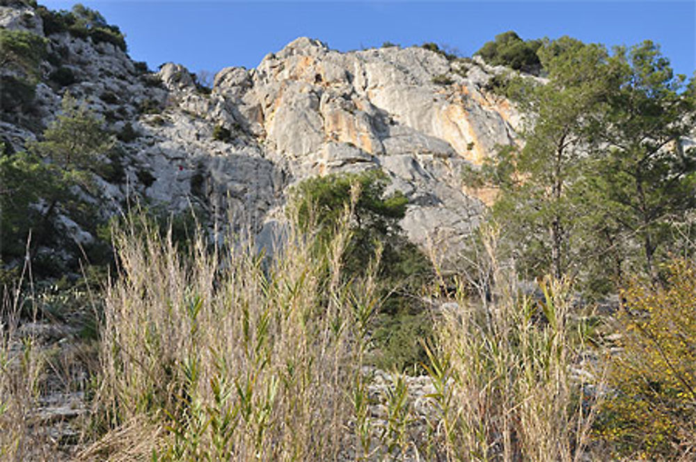 Les falaises bordent les berges du Gardon