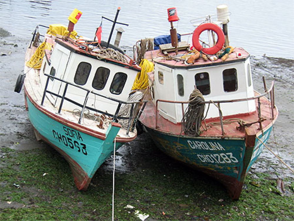 Détail du port de Chonchi