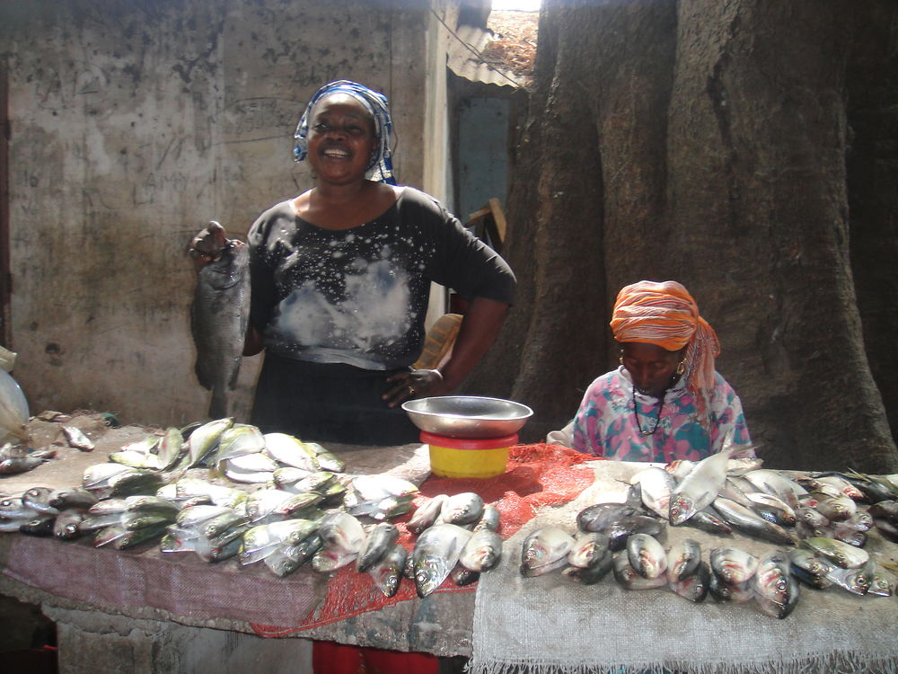 Vendeuses de poisson