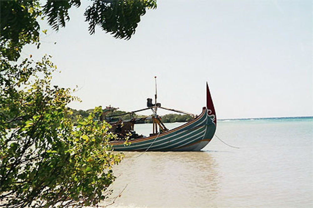 Bateau traditionnel