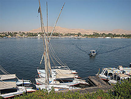 Les rives du Nil à Louxor