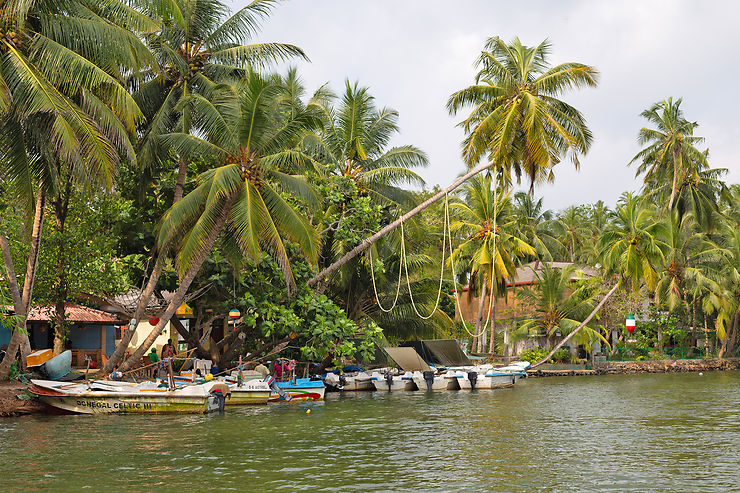 Lac Madu Ganga et ville d’Ambalangoda : cannelle et masques traditionnels